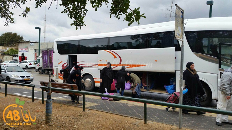 7aflea aqsja (4).JPG